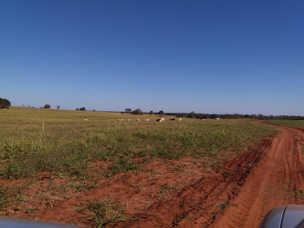 The same property developed into a structured, operating cattle ranch